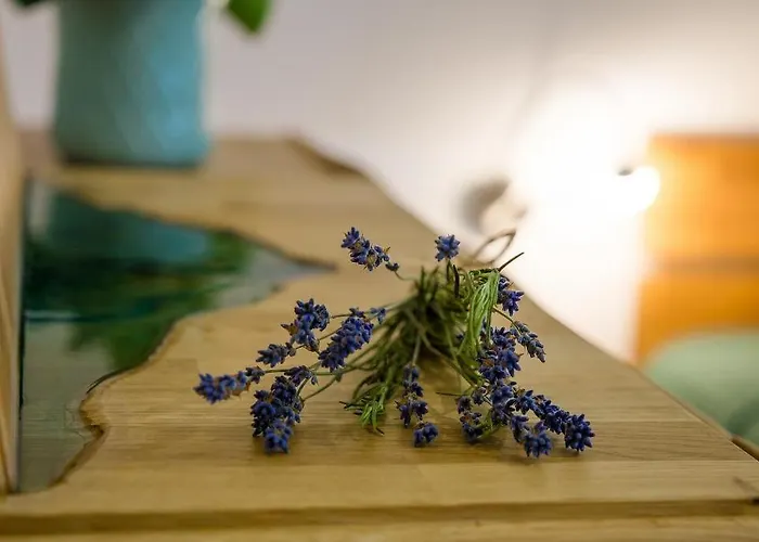 Hus Barkenboom Сasa de vacaciones Wieck